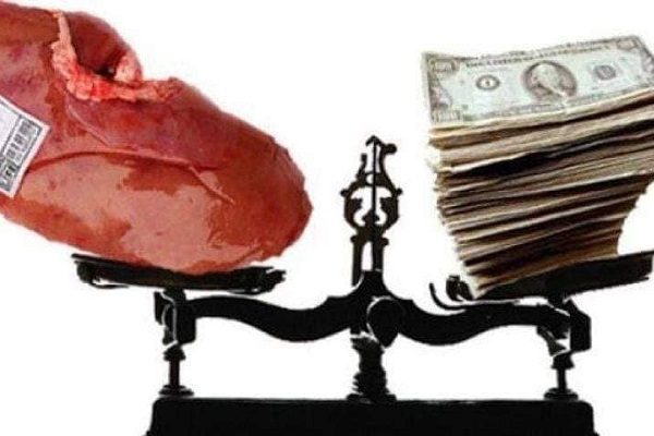 تجارة الأعضاء والبلازما في مصر: 